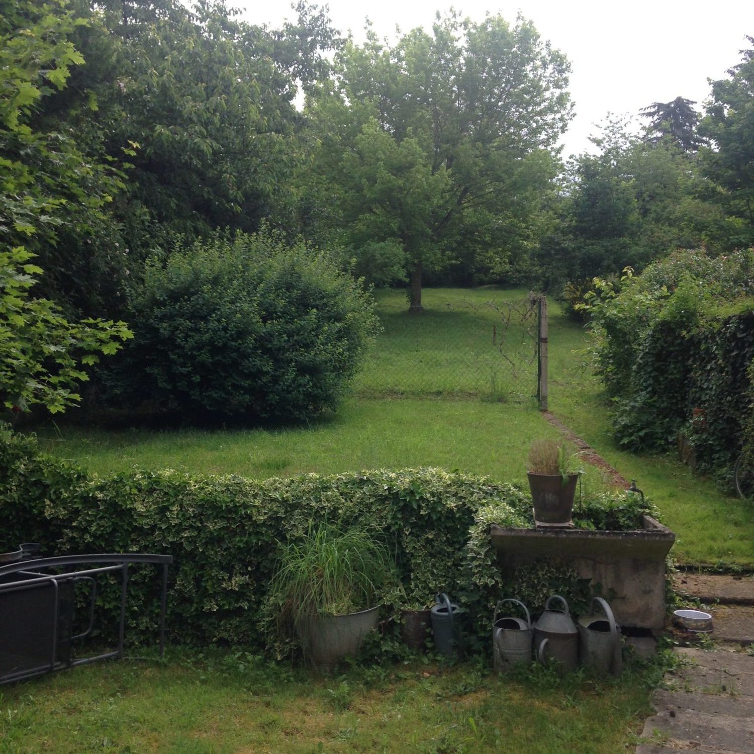 location maison avec jardin néris les bains